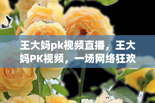 王大妈pk视频直播，王大妈PK视频，一场网络狂欢背后的故事