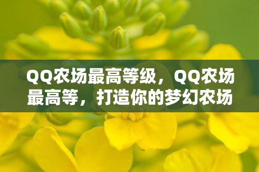 QQ农场最高等级，QQ农场最高等，打造你的梦幻农场王国