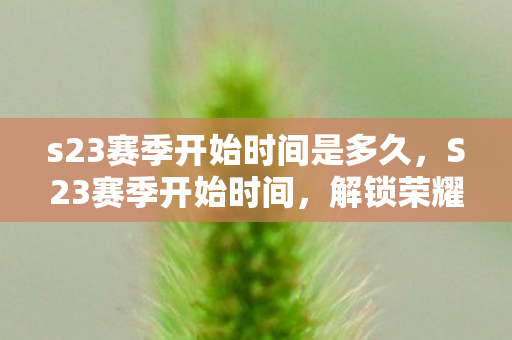 s23赛季开始时间是多久，S23赛季开始时间，解锁荣耀战场的全新篇章