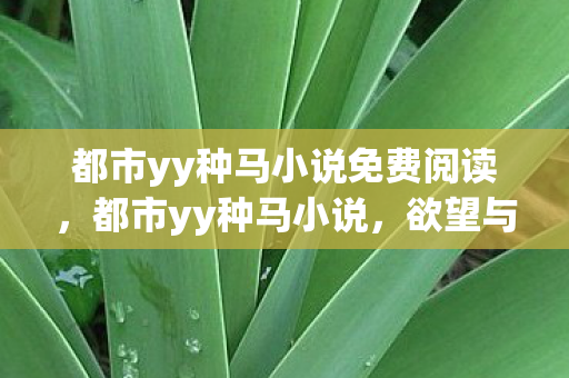 都市yy种马小说免费阅读,都市yy种马小说,欲望与现实的碰撞 都市yy种马小说免费阅读,都市yy种马小说,欲望与现实的碰撞