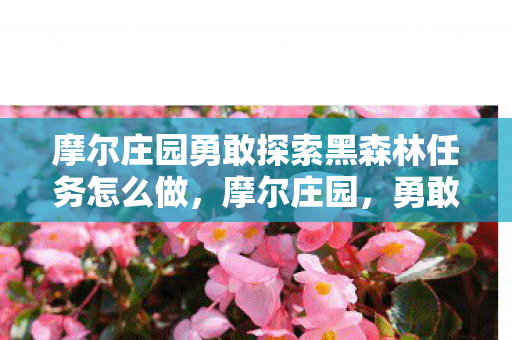摩尔庄园勇敢探索黑森林任务怎么做，摩尔庄园，勇敢探索黑森林任务