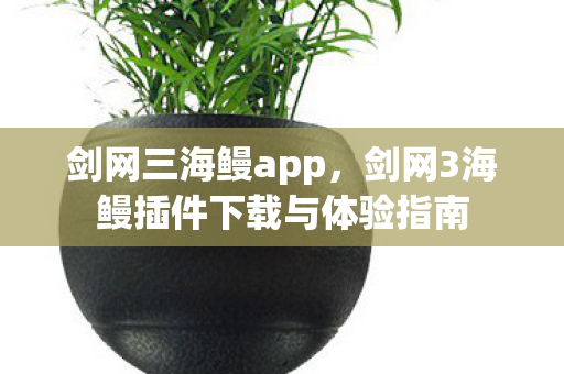剑网三海鳗app,剑网3海鳗插件下载与体验指南 剑网三海鳗app,剑网3海鳗插件下载与体验指南