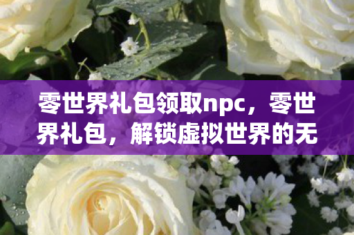 零世界礼包领取npc,零世界礼包,解锁虚拟世界的无限可能 零世界礼包领取npc,零世界礼包,解锁虚拟世界的无限可能