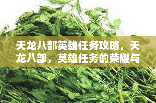 天龙八部英雄任务攻略，天龙八部，英雄任务的荣耀与挑战