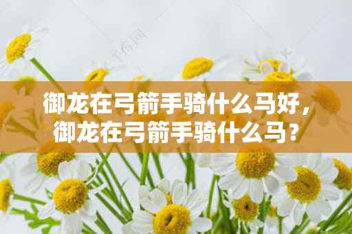 御龙在弓箭手骑什么马好，御龙在弓箭手骑什么马？