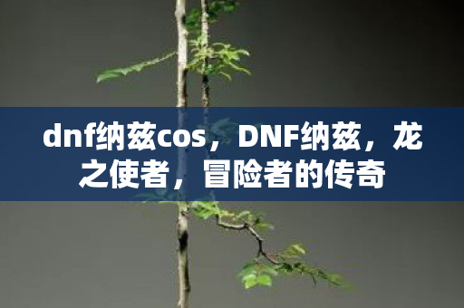 dnf纳兹cos，DNF纳兹，龙之使者，冒险者的传奇