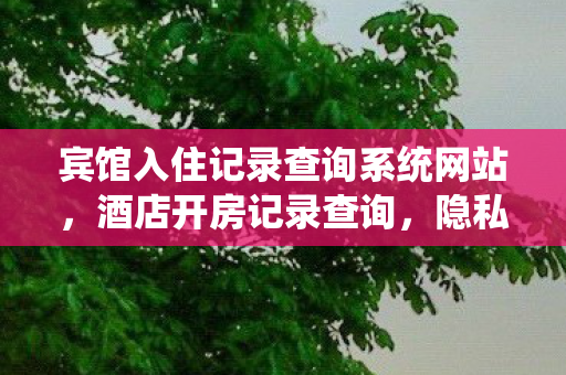 宾馆入住记录查询系统网站,酒店开房记录查询,隐私与合规的边界 宾馆入住记录查询系统网站,酒店开房记录查询,隐私与合规的边界