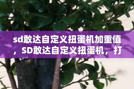 sd敢达自定义扭蛋机加重值，SD敢达自定义扭蛋机，打造你的专属机甲乐园