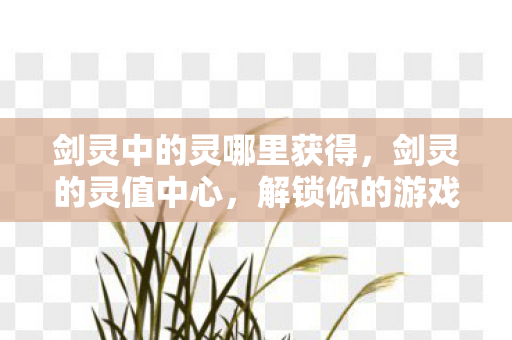 剑灵中的灵哪里获得，剑灵的灵值中心，解锁你的游戏之旅