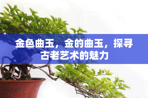 金色曲玉，金的曲玉，探寻古老艺术的魅力
