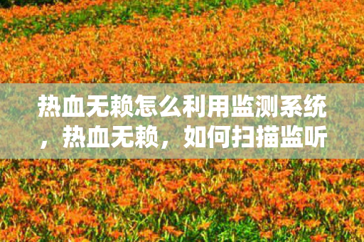 热血无赖怎么利用监测系统，热血无赖，如何扫描监听目标