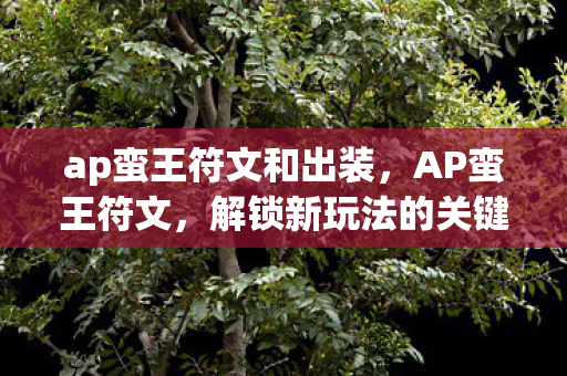 ap蛮王符文和出装，AP蛮王符文，解锁新玩法的关键