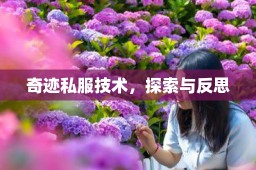 奇迹私服技术，探索与反思