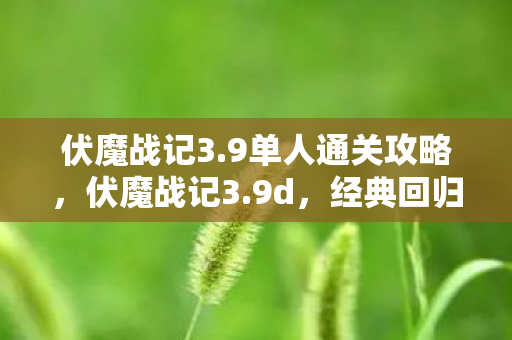 伏魔战记3.9单人通关攻略，伏魔战记3.9d，经典回归，重温传奇冒险