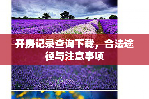 开房记录查询下载,合法途径与注意事项 开房记录查询下载,合法途径与注意事项