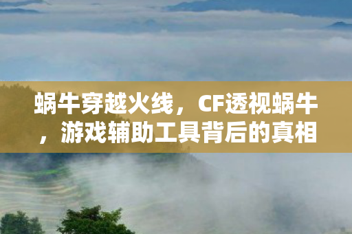 蜗牛穿越火线，CF透视蜗牛，游戏辅助工具背后的真相与反思