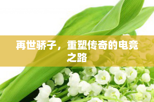 再世骄子，重塑传奇的电竞之路