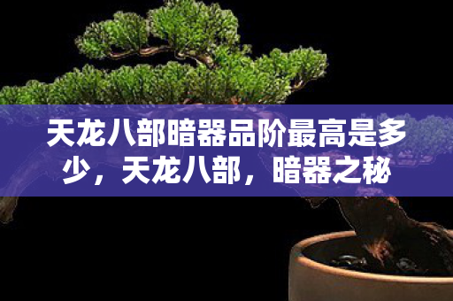 天龙八部暗器品阶最高是多少，天龙八部，暗器之秘