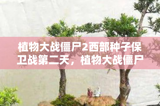 植物大战僵尸2西部种子保卫战第二天，植物大战僵尸2，西部种子保卫战