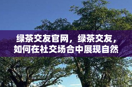 绿茶交友官网，绿茶交友，如何在社交场合中展现自然与优雅