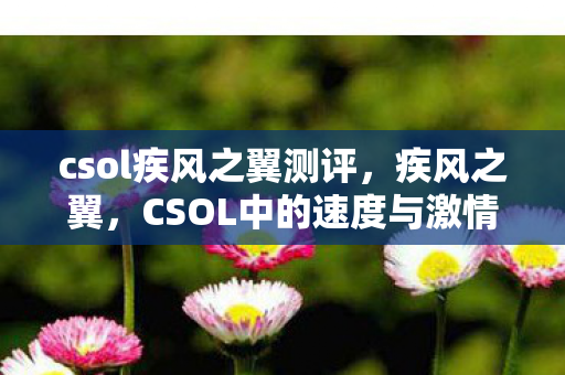 csol疾风之翼测评，疾风之翼，CSOL中的速度与激情