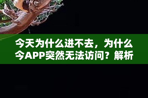 今天为什么进不去,为什么今APP突然无法访问?解析背后的原因与解决方案 今天为什么进不去,为什么今APP突然无法访问?解析背后的原因与解决方案