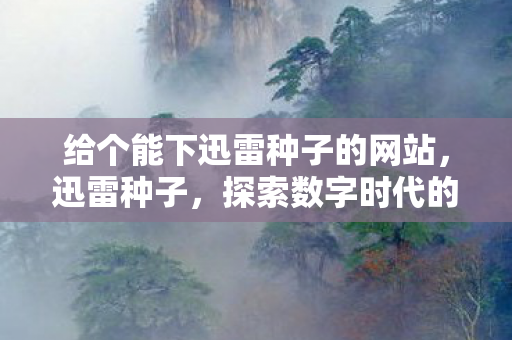 给个能下迅雷种子的网站，迅雷种子，探索数字时代的资源分享与版权保护