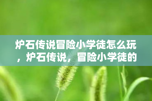 炉石传说冒险小学徒怎么玩，炉石传说，冒险小学徒的成长之旅