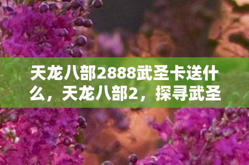 天龙八部2888武圣卡送什么，天龙八部2，探寻武圣卡的神秘面纱