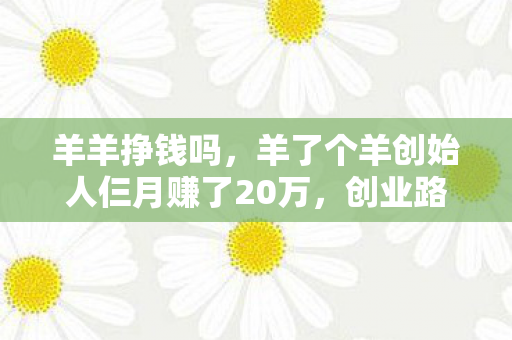 羊羊挣钱吗，羊了个羊创始人仨月赚了20万，创业路上的挑战与机遇