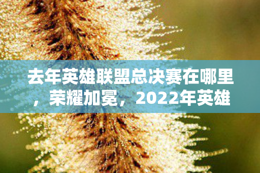 去年英雄联盟总决赛在哪里，荣耀加冕，2022年英雄联盟全球总决赛冠军揭秘