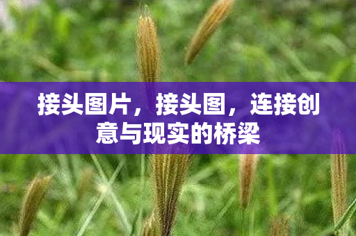 接头图片，接头图，连接创意与现实的桥梁