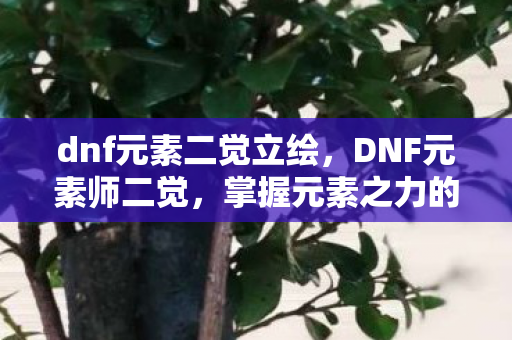 dnf元素二觉立绘，DNF元素师二觉，掌握元素之力的终极奥义
