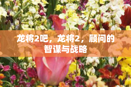 龙将2吧，龙将2，顾问的智谋与战略