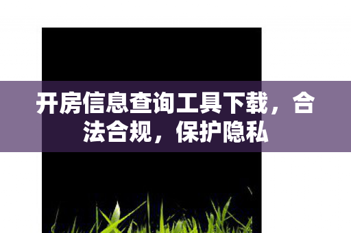 开房信息查询工具下载,合法合规,保护隐私 开房信息查询工具下载,合法合规,保护隐私