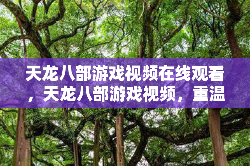 天龙八部游戏视频在线观看，天龙八部游戏视频，重温江湖经典，体验武侠魅力