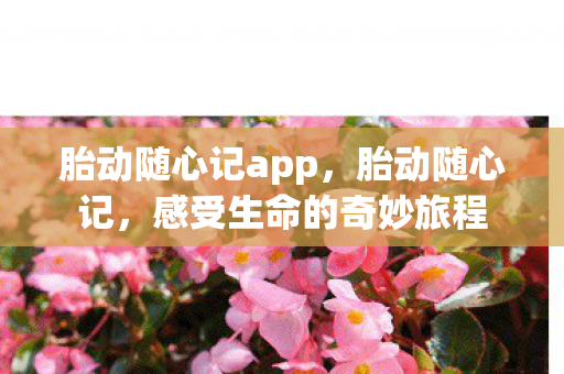 胎动随心记app，胎动随心记，感受生命的奇妙旅程