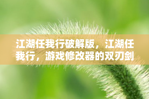 江湖任我行破解版，江湖任我行，游戏修改器的双刃剑