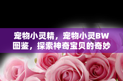 宠物小灵精，宠物小灵BW图鉴，探索神奇宝贝的奇妙世界