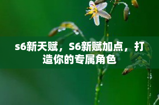 s6新天赋,S6新赋加点,打造你的专属角色 s6新天赋,S6新赋加点,打造你的专属角色
