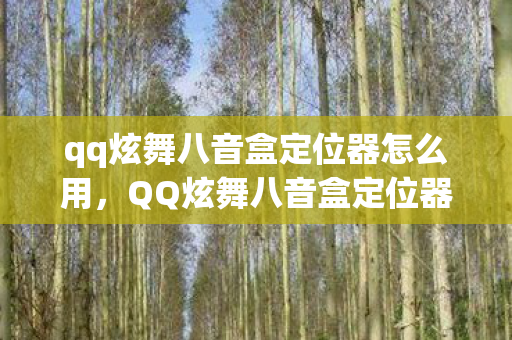 qq炫舞八音盒定位器怎么用,QQ炫舞八音盒定位器,解锁音乐盒的奥秘 qq炫舞八音盒定位器怎么用,QQ炫舞八音盒定位器,解锁音乐盒的奥秘