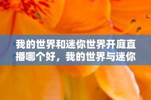 我的世界和迷你世界开庭直播哪个好，我的世界与迷你世界的法律对决，一场关于创意与版权的较量