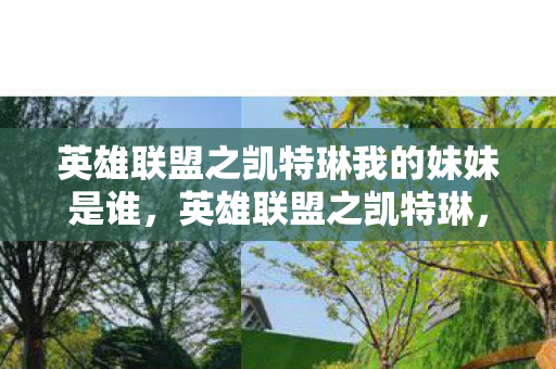 英雄联盟之凯特琳我的妹妹是谁，英雄联盟之凯特琳，我的妹妹