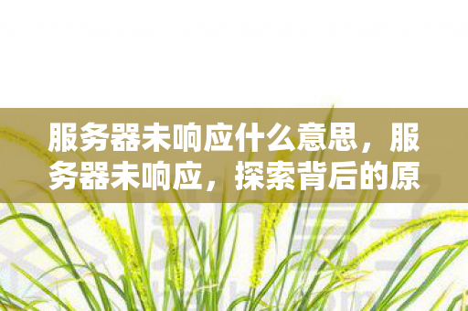 服务器未响应什么意思，服务器未响应，探索背后的原因与解决方案