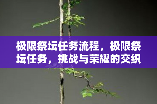 极限祭坛任务流程，极限祭坛任务，挑战与荣耀的交织