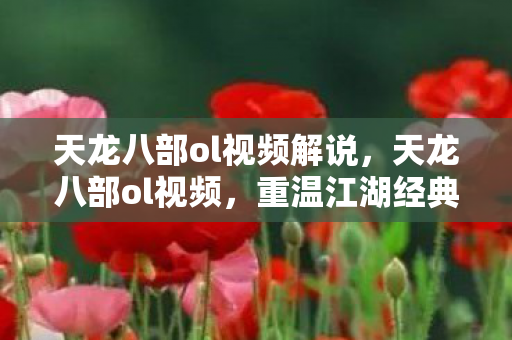 天龙八部ol视频解说，天龙八部ol视频，重温江湖经典，探寻武侠世界中的英雄传奇