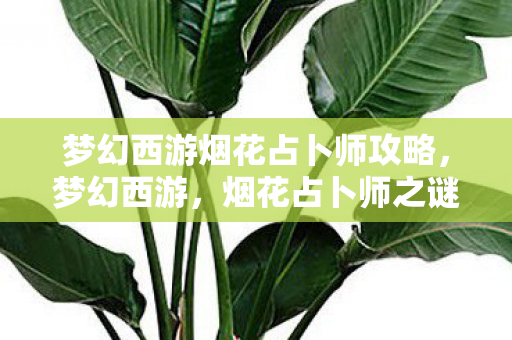 梦幻西游烟花占卜师攻略,梦幻西游,烟花占卜师之谜 梦幻西游烟花占卜师攻略,梦幻西游,烟花占卜师之谜