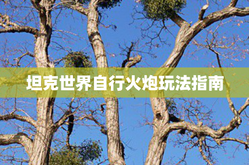 坦克世界自行火炮玩法指南 坦克世界自行火炮玩法指南