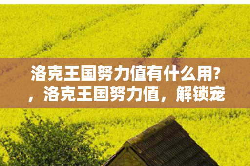 洛克王国努力值有什么用?，洛克王国努力值，解锁宠物潜能，打造强大战斗伙伴