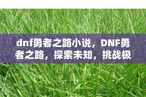 dnf勇者之路小说,DNF勇者之路,探索未知,挑战极限 dnf勇者之路小说,DNF勇者之路,探索未知,挑战极限